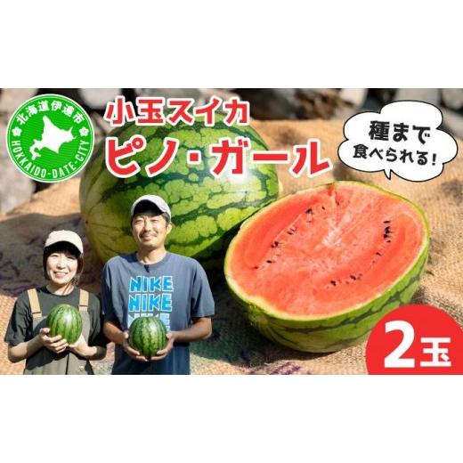 ふるさと納税 スイカ 北海道 伊達市 先行予約 北海道伊達産 小玉スイカ "ピノ・ガール" tom-001
