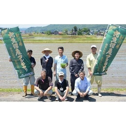 ふるさと納税 無洗米 新潟県 長岡市 7C05A-3 3ヶ月連続お届け 北魚沼産コシヒカリ（長岡川口地域）無洗米5kg 2026年6月発送開始 発送時期：2026年6月開始 寄…の画像