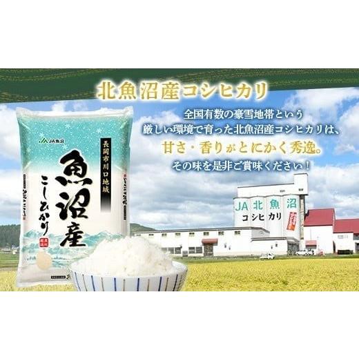ふるさと納税 無洗米 新潟県 長岡市 7C05A-3 3ヶ月連続お届け 北魚沼産コシヒカリ（長岡川口地域）無洗米5kg 2026年6月発送開始 発送時期：2026年6月開始 寄…の画像