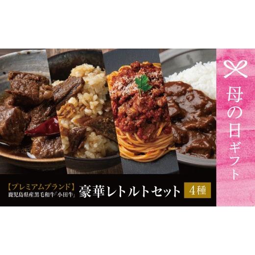 ふるさと納税 加工品等 レトルト 鹿児島県 南さつま市 母の日ギフト 鹿児島県産黒毛和牛「小田牛」レトルト4種セット(カレー・パスタ・牛とろ煮込み・混ぜご…