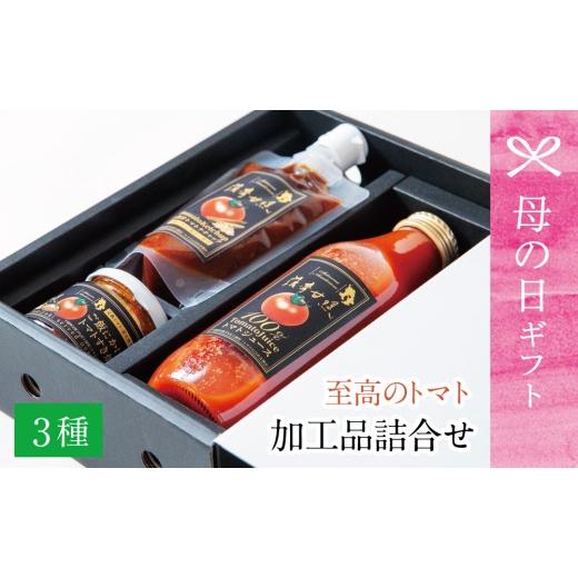 ふるさと納税 果汁飲料 トマト 鹿児島県 南さつま市 母の日ギフト 至高のトマト加工品詰合せ [3種類] 南国 フルーツトマト 薩摩甘照 さつまあまてらす トマ…
