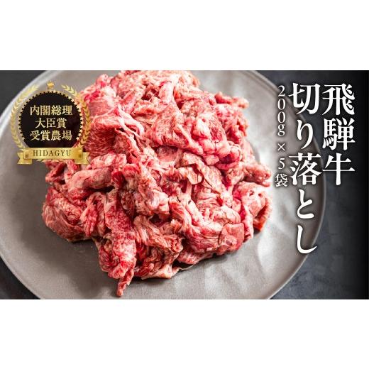 ふるさと納税 牛肉 ロース 岐阜県 下呂市 飛騨牛 切り落とし 200g×5袋 計1kg 牛肉 ブランド牛 お肉 肉 牛 おすすめ 飛騨萩原畜産 真空冷凍 飛騨牛 切り落と…