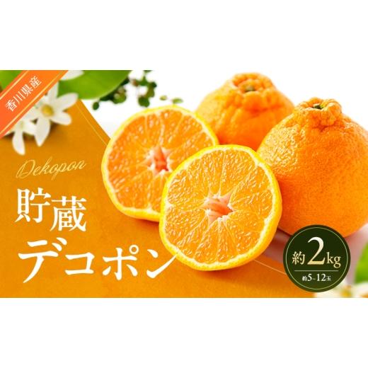ふるさと納税 みかん・柑橘類 デコポン 香川県 東かがわ市   貯蔵デコポン 約2kg デコポン でこぽん 柑橘 フルーツ 果物 くだもの 果実 旬の果物 …