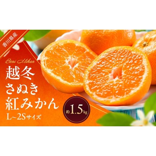 ふるさと納税 果物類 みかん 香川県 東かがわ市   越冬さぬき紅みかん 約1.5kg 蜜柑 みかん ミカン 柑橘 フルーツ 果物 くだもの 果実 旬の果物 …