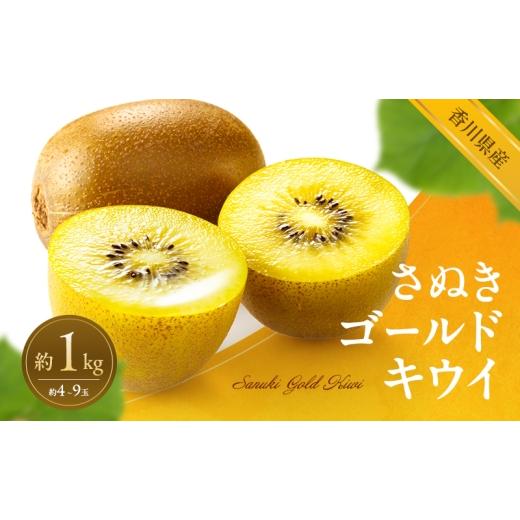 ふるさと納税 果物類 香川県 東かがわ市   さぬきゴールドキウイ 約1kg キウイ キウイフルーツ フルーツ 果物 くだもの 果実 旬の果物 旬のフルー…