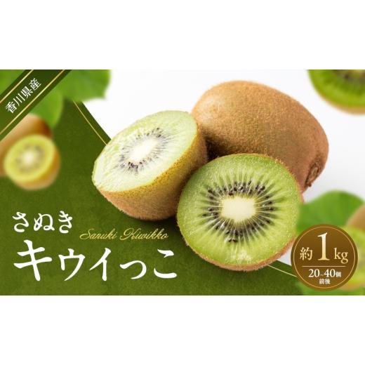 ふるさと納税 果物類 香川県 東かがわ市   さぬきキウイっこ 約1kg キウイ キウイフルーツ フルーツ 果物 くだもの 果実 旬の果物 旬のフルーツ …