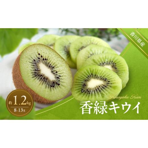ふるさと納税 果物類 香川県 東かがわ市   香緑キウイ 約1.2kg キウイ キウイフルーツ フルーツ 果物 くだもの 果実 旬の果物 旬のフルーツ 香川 …
