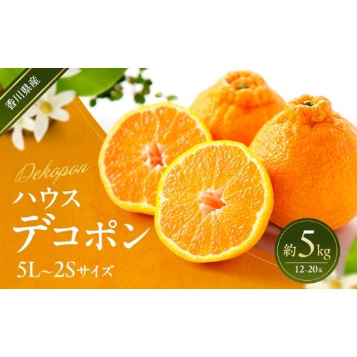 ふるさと納税 みかん・柑橘類 デコポン 香川県 東かがわ市   ハウスデコポン 約5kg デコポン でこぽん 柑橘 フルーツ 果物 くだもの 果実 旬の果…