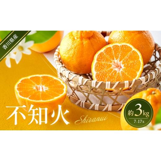 ふるさと納税 みかん・柑橘類 香川県 東かがわ市   不知火 約3kg 蜜柑 みかん ミカン 柑橘 フルーツ 果物 くだもの 果実 旬の果物 旬のフルーツ …