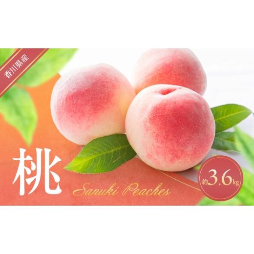 ふるさと納税 もも 香川県 東かがわ市   桃 約3.6kg もも モモ フルーツ 果物 くだもの 果実 旬の果物 旬のフルーツ 香川 香川県 東かがわ市