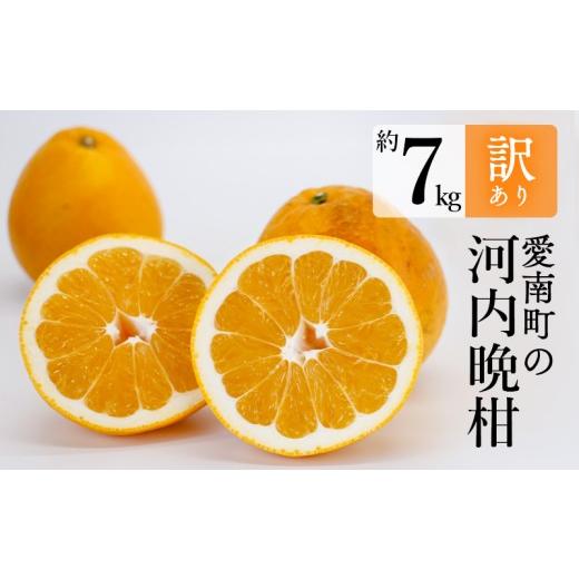 ふるさと納税 みかん・柑橘類 愛媛県 愛南町 訳あり 河内晩柑 約7kg 柑橘 かんきつ 蜜柑 愛南ゴールド 春 夏 旬 みかん ばんかん 晩柑 和製 グレープフルーツ …