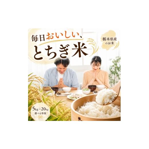 ふるさと納税 米 ブレンド 栃木県 下野市 ブレンド米 5kg | こめ コメ