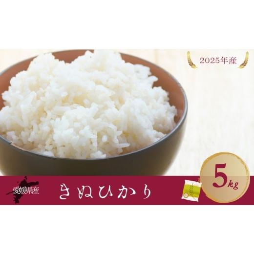 ふるさと納税 米 愛媛県 伊予市 お米 5kg きぬひかり 令和7年産 愛媛県 米 愛媛県産 精米 米 こめ コメ 白米 ごはん ライス 愛媛 伊予市|B537 きぬひかり