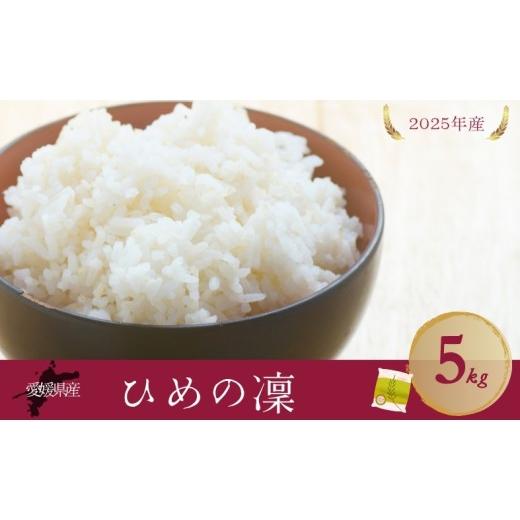 ふるさと納税 米 愛媛県 伊予市 お米 5kg ひめの凜 令和7年産 愛媛県 米 愛媛県産 精米 米 こめ コメ 白米 ごはん ライス 愛媛 伊予市|B539 ひめの凜