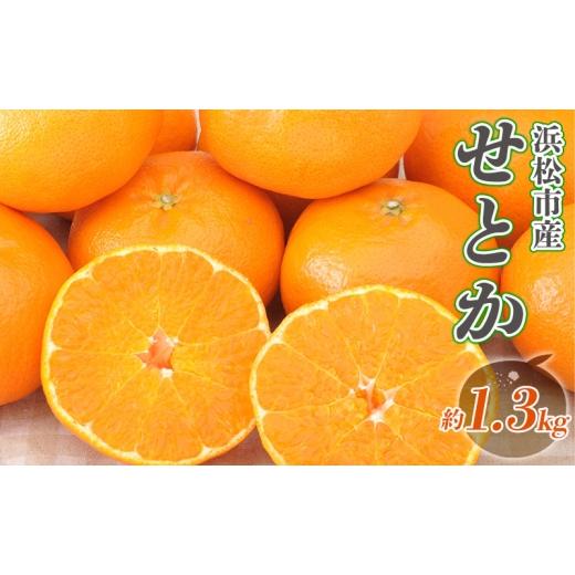 ふるさと納税 果物類 みかん 静岡県 浜松市 2027年2月より順次発送 後藤みかん農園 せとか 約1.3kg 大玉 ハウス 果物 くだもの 旬のフルーツ 旬の果物 季節の…