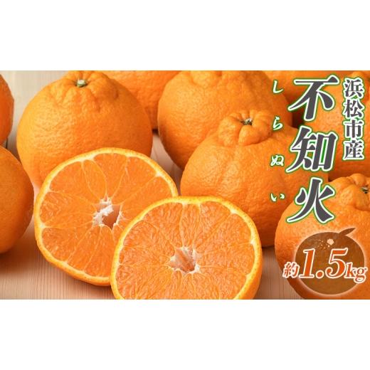 ふるさと納税 果物類 みかん 静岡県 浜松市 2027年3月より順次発送 後藤みかん農園 不知火 (しらぬい) 約1.5kg 樹上 熟成 ハウス 果物 くだもの 旬のフルー…