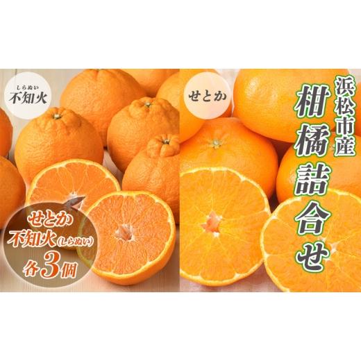 ふるさと納税 果物類 みかん 静岡県 浜松市 2027年2月より順次発送 後藤みかん農園 柑橘詰合せ (せとか・不知火 各3個)ハウス栽培 果物 くだもの 旬のフル…