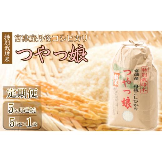 ふるさと納税 米 コシヒカリ 京都府 宮津市 定期便・全5回 令和7年産 特別栽培米「つやっ娘」 5kg×全5回 宮津産丹後コシヒカリ 発送月固定(4月・5月・6月…