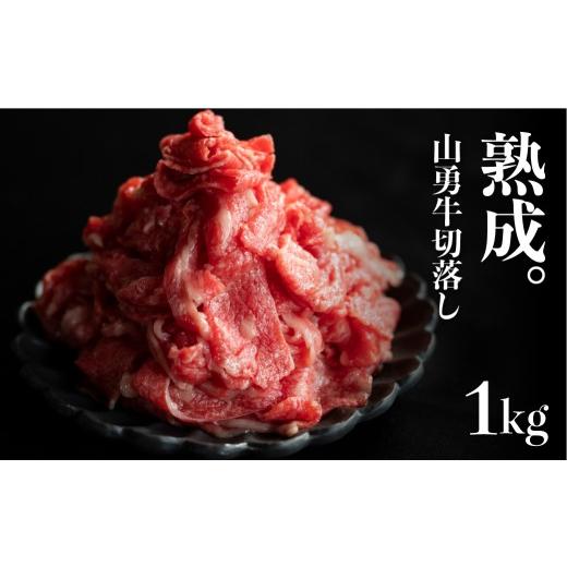 ふるさと納税 牛肉 岐阜県 飛騨市 訳あり 飛騨牛 こま切れ 小間切れ 切り落とし 1kg 飛騨の牧場で育った熟成飛騨牛『山勇牛』 切落し 1kg 不揃い 1kg