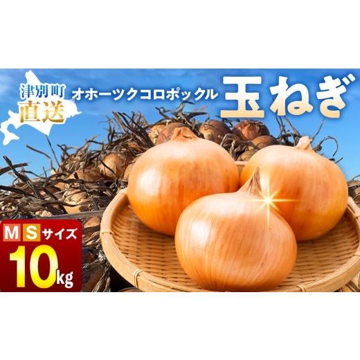 ふるさと納税 野菜類 玉ねぎ 北海道 津別町 R8年産 玉ねぎ (M玉・S玉混合) 10kg オホーツクコロポックル | 北海道津別町