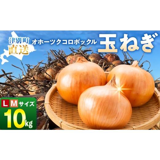 ふるさと納税 野菜類 玉ねぎ 北海道 津別町 R8年産 玉ねぎ （L玉・M玉混合） 10kg オホーツクコロポックル | 北海道津別町の画像