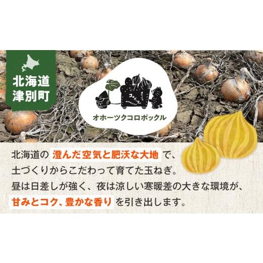 ふるさと納税 野菜類 玉ねぎ 北海道 津別町 R8年産 玉ねぎ （L玉・M玉混合） 10kg オホーツクコロポックル | 北海道津別町の画像
