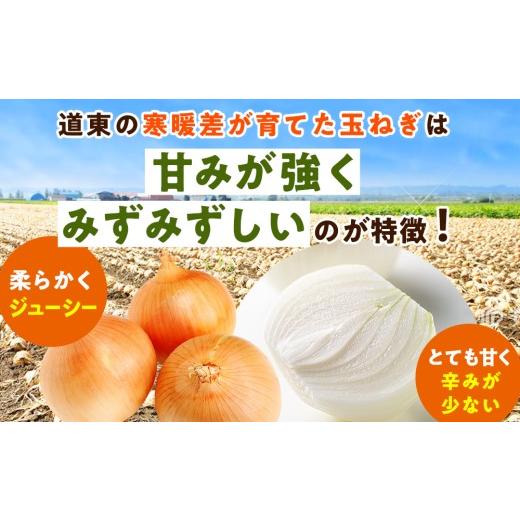 ふるさと納税 野菜類 玉ねぎ 北海道 津別町 R8年産 玉ねぎ （L玉・M玉混合） 10kg オホーツクコロポックル | 北海道津別町の画像