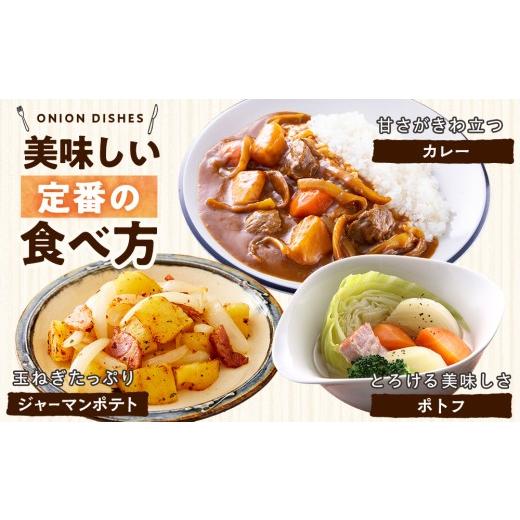 ふるさと納税 野菜類 玉ねぎ 北海道 津別町 R8年産 玉ねぎ （L玉・M玉混合） 10kg オホーツクコロポックル | 北海道津別町の画像