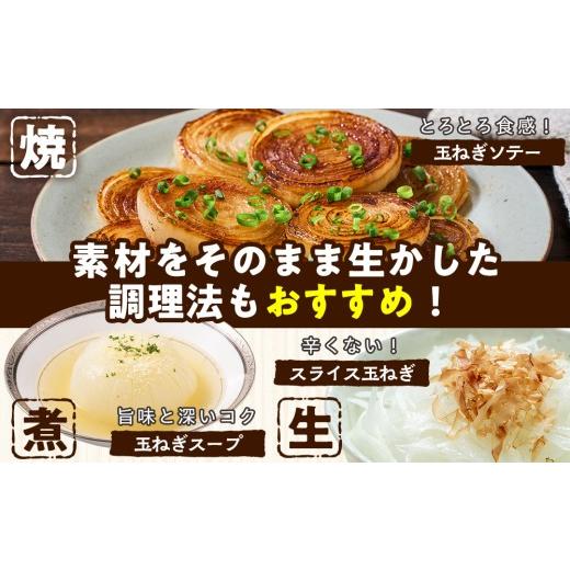 ふるさと納税 野菜類 玉ねぎ 北海道 津別町 R8年産 玉ねぎ （L玉・M玉混合） 10kg オホーツクコロポックル | 北海道津別町の画像