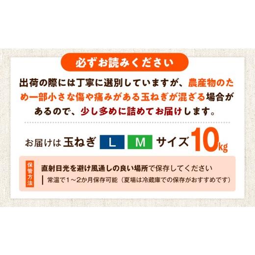 ふるさと納税 野菜類 玉ねぎ 北海道 津別町 R8年産 玉ねぎ （L玉・M玉混合） 10kg オホーツクコロポックル | 北海道津別町の画像