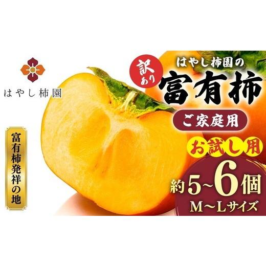 ふるさと納税 果物類 柿 岐阜県 瑞穂市 先行予約 訳アリ はやし柿園のご家庭用 富有柿 M~Lサイズ 約5~6個(お試し用) | 柿 カキ かき 訳アリ わけあり 果物 …