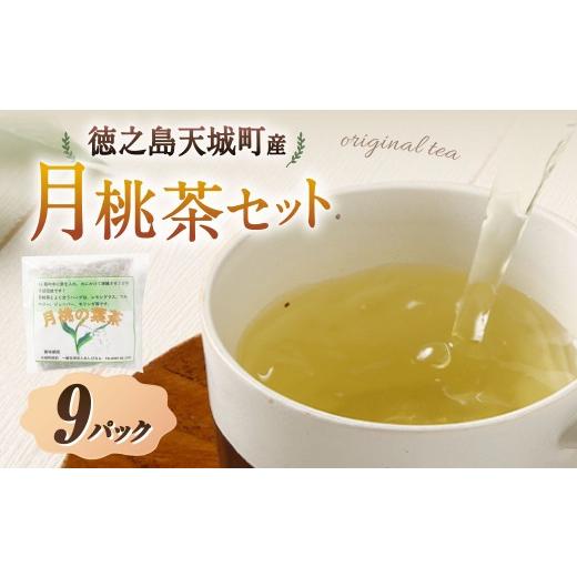 ふるさと納税 お茶類 鹿児島県 天城町 天城町産 月桃茶 計9パック ( 3パック × 3袋 ) 障害福祉サービス事業所あしびなぁ お茶 ティーパック 国産 鹿児島県…