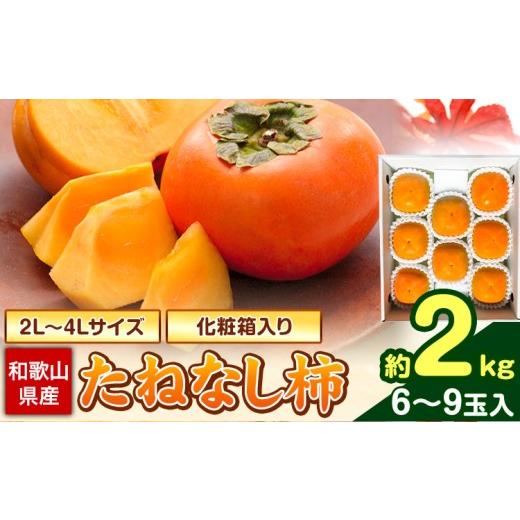 ふるさと納税 果物類 柿 和歌山県 日高川町 秋の味覚 先行予約 和歌山産の たねなし 柿 2L〜4Lサイズ 約 2kg (化粧箱入り) 厳選館 [2026年9月上旬-11月上…