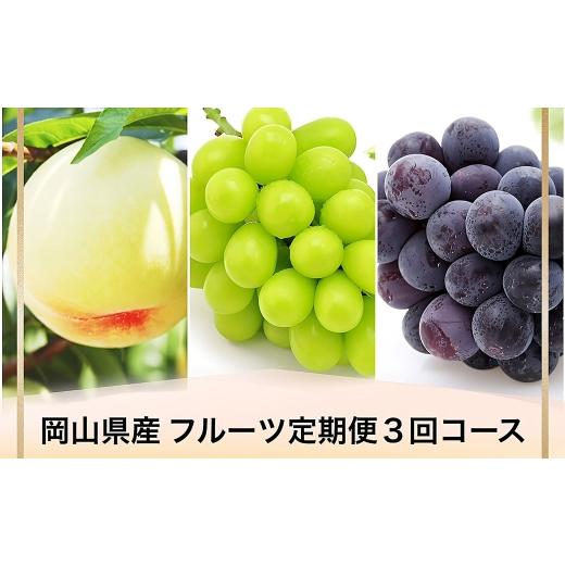 ふるさと納税 果物の詰合せ 岡山県 美咲町 全3回定期便 岡山県産 フルーツ定期便 お一人様向け 2026年7月上旬〜9月下旬迄発送予定 白桃 ピオーネ シャインマ…