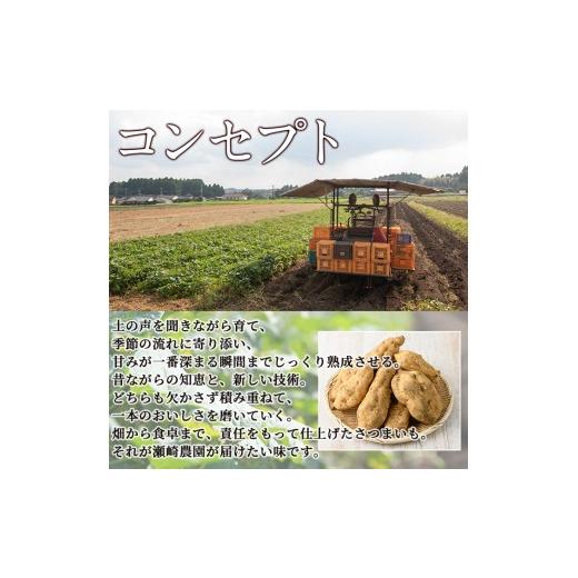 ふるさと納税 野菜類 サツマイモ 鹿児島県 曽於市  先行予約受付中 2026年8月以降順次発送予定 鹿児島県曽於市産 新物 黄金千貫(10kg) 瀬崎農園 A606の画像