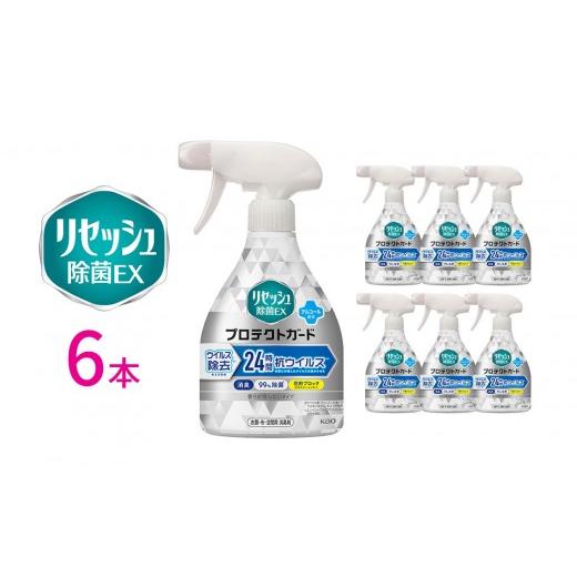 ふるさと納税 雑貨・日用品 和歌山県 和歌山市 リセッシュ除菌EX プロテクトガード 香りが残らないタイプ 本体 350ml×6本 KAO48 本体 350ml×6本[13,000円]
