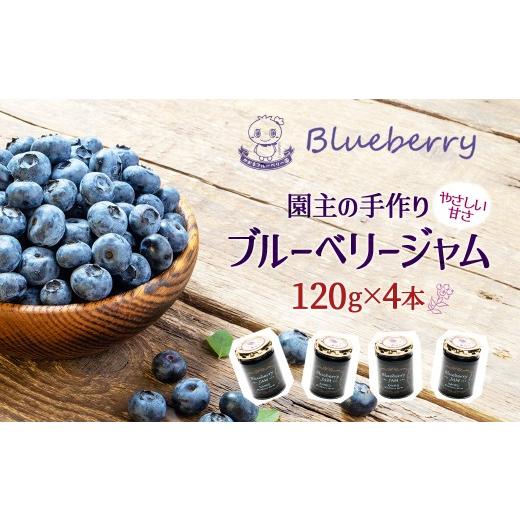ふるさと納税 ジャム ブルーベリー 福島県 三春町 ブルーベリージャム120g×4本 福島県三春町 かおるブルーベリー園産使用)