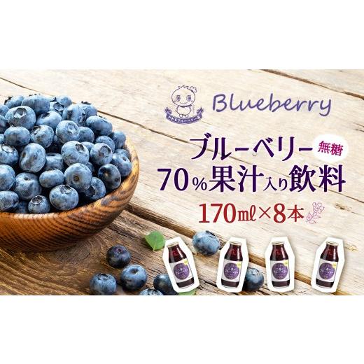 ふるさと納税 果汁飲料 ブルーベリー 福島県 三春町 ブルーベリー70%果汁入り飲料(無糖)170ml×8本セット 福島県三春町 かおるブルーベリー園産使用 0…