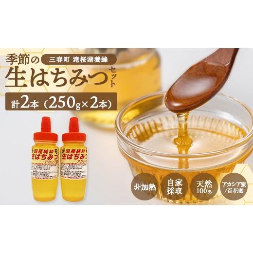 ふるさと納税 加工品等 はちみつ 福島県 三春町 国産純粋 季節の生はちみつ 250g×2本セット(福島県三春町産)
