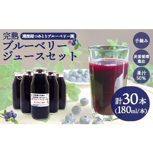 ふるさと納税 果汁飲料 ブルーベリー 福島県 三春町 完熟ブルーベリージュース180ml×30本（福島県三春町産）  07521-0170の画像