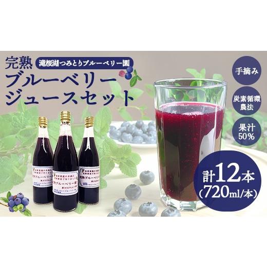 ふるさと納税 果汁飲料 ブルーベリー 福島県 三春町 完熟ブルーベリージュース720ml×12本（福島県三春町産）　 07521-0171_1