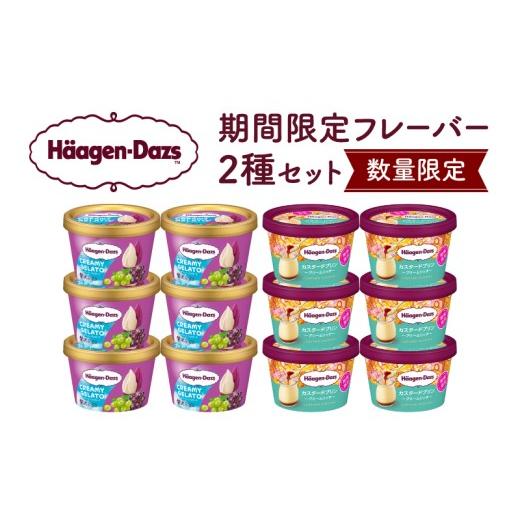 ふるさと納税 菓子 アイス 北海道 浜中町 数量限定 ハーゲンダッツ アイスクリーム ミニカップ 12個 (CREAMY GELATO 贅沢ぶどう&カスタードプリン)アイス …