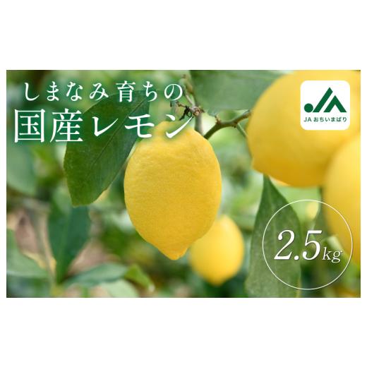 ふるさと納税 みかん・柑橘類 レモン 愛媛県 今治市 先行予約 レモン 約2.5kg KC00790K3 レモン 約2.5kg