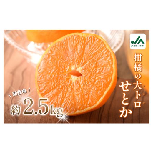 ふるさと納税 果物類 みかん 愛媛県 今治市 先行予約 せとか(家庭用)レギュラー箱 約2.5kg KC00770K3 レギュラー箱 約2.5kg