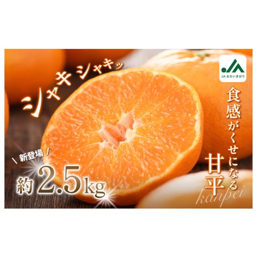 ふるさと納税 果物類 みかん 愛媛県 今治市 先行予約 甘平(家庭用)レギュラー箱 約2.5kg KC00780K3 甘平 約2.5kg