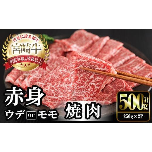 ふるさと納税 牛肉 モモ 宮崎県 門川町 宮崎牛 赤身カット 焼肉 (計500g・250g×2) 焼肉 お肉 牛肉 黒毛和牛 宮崎牛 ブランド和牛 冷凍 国産 モモ ウデ 宮崎県…