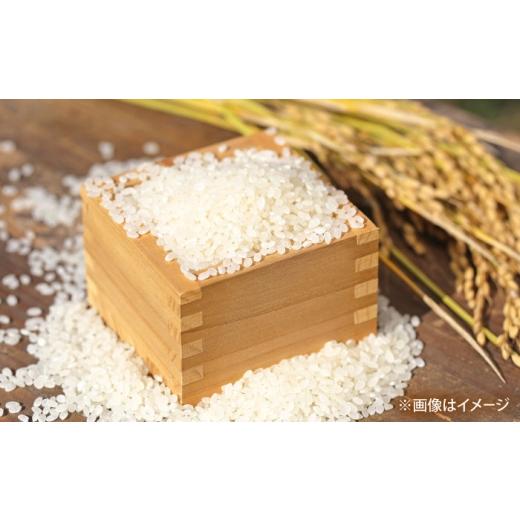 ふるさと納税 米 福岡県 桂川町 無洗米 夢つくし 20kg 精米 有限会社ファインリョーコク／桂川町 ADCE019の画像