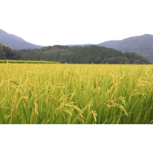 ふるさと納税 米 福岡県 桂川町 無洗米 夢つくし 20kg 精米 有限会社ファインリョーコク／桂川町 ADCE019の画像