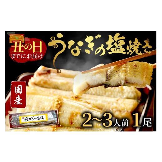 ふるさと納税 うなぎ 京都府 京丹後市 土用の丑の日までに届く "新月の塩"使用 うなぎの塩焼き2〜3人前(1尾) ふるさと納税 鰻 国産 ウナギ 塩焼き…