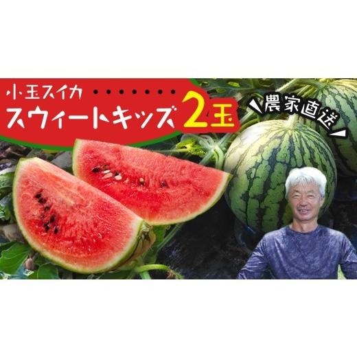 ふるさと納税 スイカ 茨城県 桜川市 小玉 スイカ スウィートキッズ 2玉 セット 先行予約 小玉スイカ すいか 西瓜 こだますいか フルーツ 果物 くだもの 農家直…